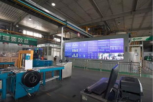 龍蟠科技 信息技術驅動下的創(chuàng)新與發(fā)展